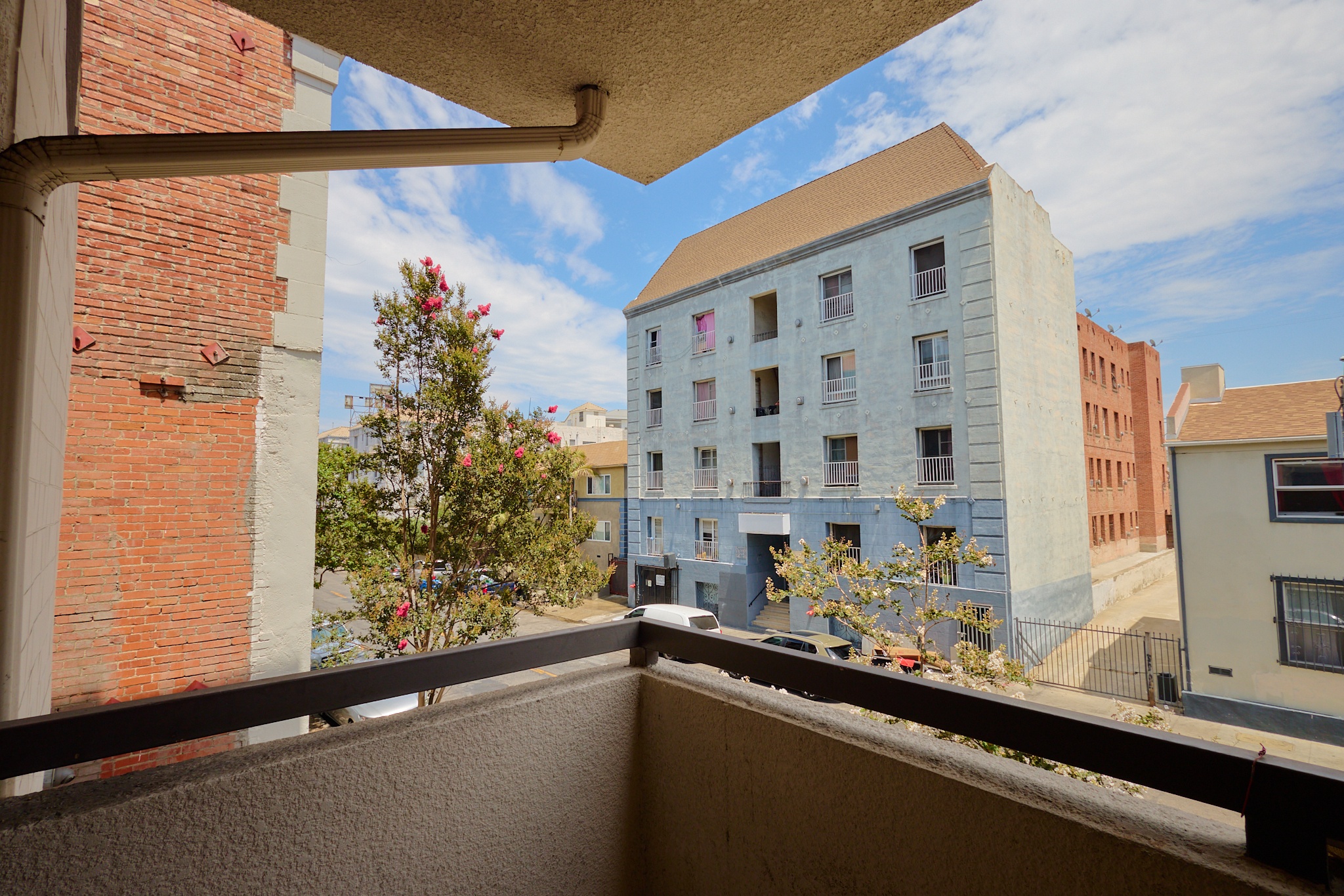 A balcony overlooks a tree and apartment buildings.
